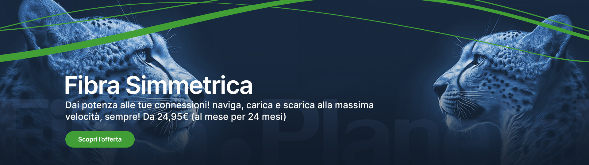 Planetel Fibra Simmetrica